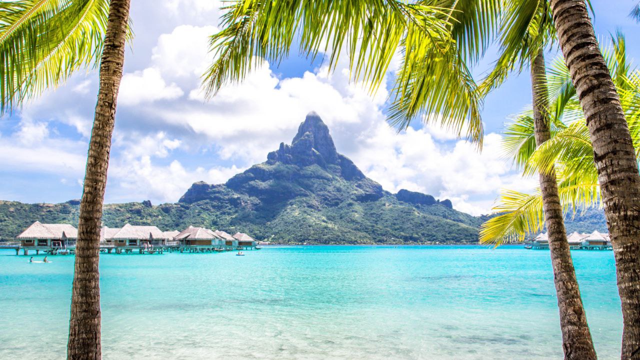 Snorkeling in Bora Bora